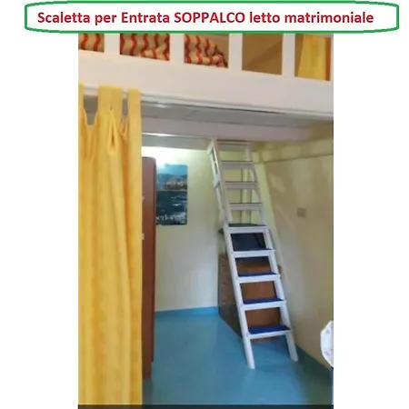 Flat Cost Daire Sperlonga