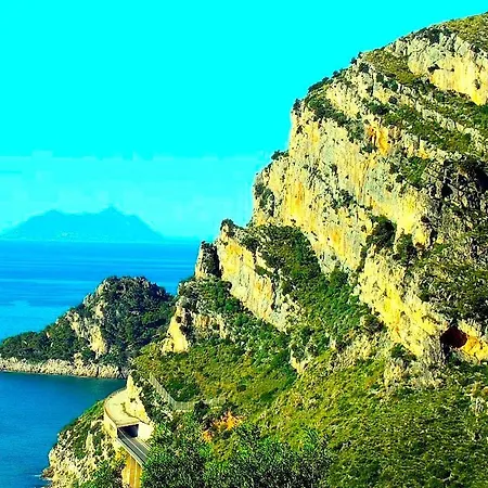 Flat Cost Daire Sperlonga