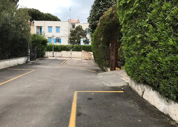 Flat Cost * 斯佩隆加