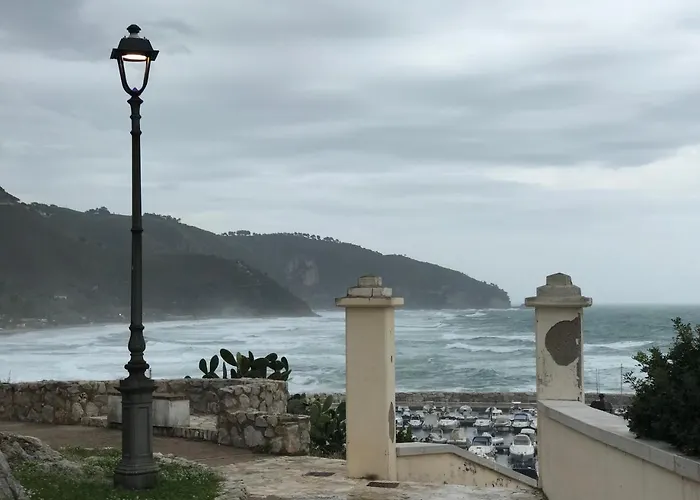 Flat Cost 斯佩隆加